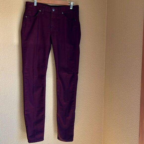 EUCβPatagonia Jeans Pants in π color Size 6 - Picture 1 of 10